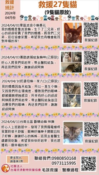 【救援統計】2024年04月救援27隻貓咪(9隻貓原放)
