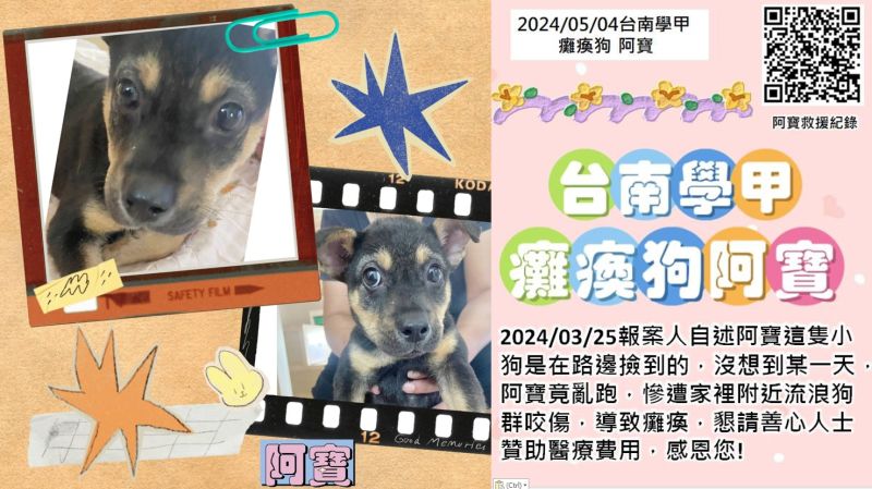【救援案件】2024/05/04台南學甲 癱瘓狗 阿寶