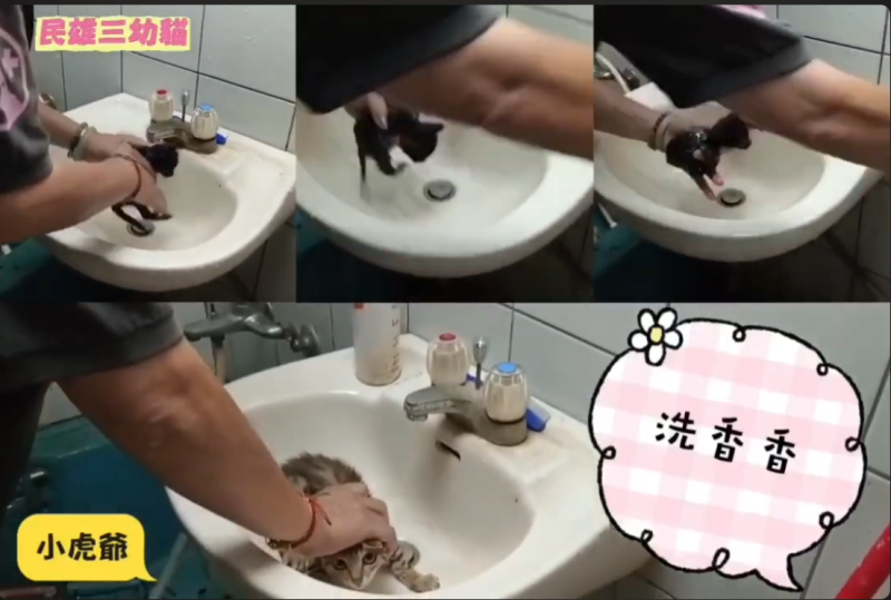 🛁🐾 洗澡日大集合！