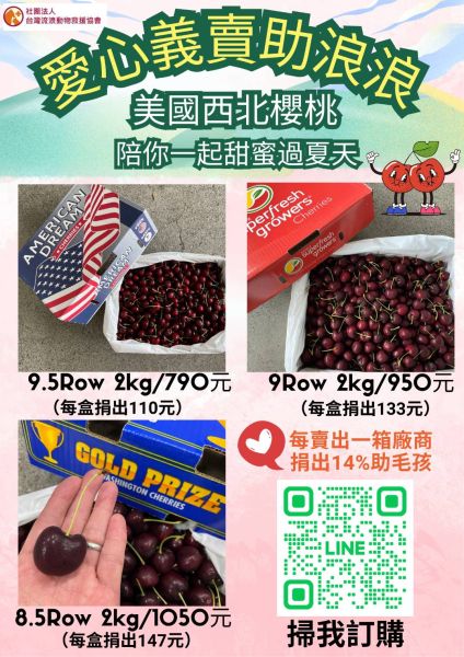 🍒【甜蜜櫻桃，溫暖浪浪心】🐾