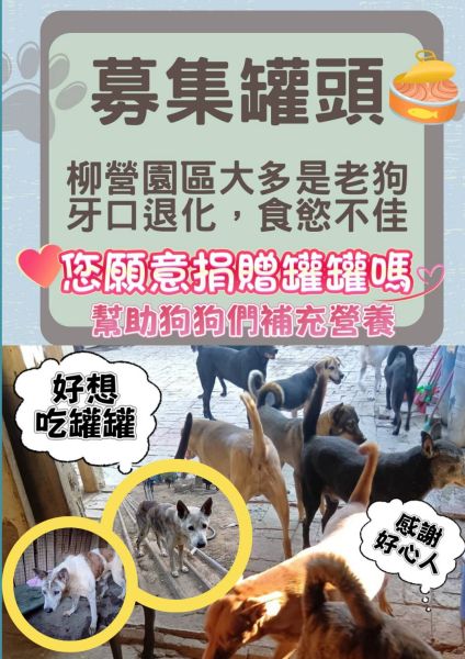📢 【柳營園區老狗募集罐頭｜拜託一起幫孩子們補補營養 💛】